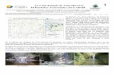 Aves del Refugio de Vida Silvestre 1 El Pambilar, Esmeraldas, … · 2018-10-10 · Forestal del Estado Ecuador y en 1998 fue adjudicada a una empresa maderera. ... Río Pambil Cascada