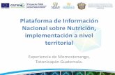 Plataforma de Información Nacional sobre Nutrición ...Plataforma de Información Nacional sobre Nutrición, implementación a nivel territorial Experiencia de Momostenango, Totonicapán