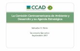 La Comisión Centroamericana de Ambiente y …...Antecedentes La Comisión Centroamericana de Ambiente y Desarrollo (CCAD) fue constituida en 1989 para establecer un régimen regional