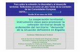 La cooperación territorial - La cooperación territorial ... · gobierno de las áreas metropolitanas Ninggg p p(una de las grandes áreas metropolitanas de España (ciudad central
