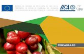 PROCAGICA-RDprocagicard.com/download/32/informes/509/modelos-procagica-rd.pdfla roya en las plantaciones de café de todo el territorio nacional. La productividad del cafetal definida