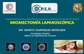 DR. MARCO GARNIQUE MONCADA · 2016-12-13 · • El endometrio con mioma submucoso hay alteración en la expresión de genes y citosinas del endometrio pre implantatorio. Stovall
