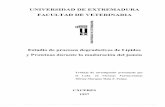UNIVERSIDAD DE EXTREMADURA FACULTAD DE VETERINARIA · 2017-05-30 · UNIVERSIDAD DE EXTREMADURA FACULTAD DE VETERINARIA EX  z