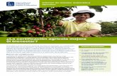 ¿La certificación agrícola mejora el bienestar? · pequeños agricultores y trabajadores. Desde principios de la década de 1990 ha sobrevenido una proliferación de este tipo