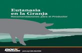 Eutanasia en la Granjad3fns0a45gcg1a.cloudfront.net/sites/all/files/documents/...6 3 El Proceso de Eutanasia La eutanasia en cerdos puede ser un proceso de uno o de dos pasos. El proceso