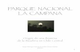 PARQUE NACIONAL LA CAMPANA - UCgeografia.uc.cl/images/academicos/Andres_Moreira/LaCampanapag1_26.pdf · Parque Nacional La Campana: Origen de una Reserva de la Biosfera en Chile Central.