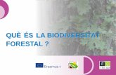 QUÈ ÉS LA BIODIVERSITAT FORESTALeforown.ctfc.cat/pdf/49a_que es la biodiversitat forestal_CAT.pdf · ecosistemes, facilitaran el control de plagues y permetrà una resistència