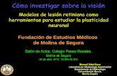 Cómo investigar sobre la visión · 2012-07-27 · Cómo investigar sobre la visión Salón de Actos. Colegio Paseo Rosales. Molina de Segura 24 de abril, 2012. 18.00h-20.30h Fundación