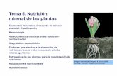 Tema 5. Nutrición mineral de las plantasocw.bib.upct.es/pluginfile.php/5386/mod_resource/content/1/Tema5.pdf · mineral de las plantas Elementos minerales. Concepto de mineral esencial.