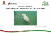RESERVA ESTATAL SANTUARIO DEL MANATÍ BAHÍA DE … · Ecológica Santuario del Manatí bahía de Chetumal. 8 de Abril de 2008, Decreto mediante el cual se modifica el similar por