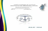 CORTE SUPREMA DE JUSTICIA INSTITUTO DE MEDICINA LEGAL · Instituto de Medicina Legal, Nicaragua, Julio 2018 Circunscripciones y Delegaciones del IML Lesiones físicas Total Porcentaje