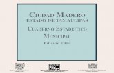 Ciudad Madero estado de Tamaulipas : cuaderno estadístico · PDF file 2014-12-08 · Presentación El Instituto Nacional de Estadistica, Geografía e Informática (INEGI) y el Gobierno