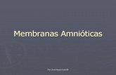 Membranas Amnióticas - Instituto Tecnológico de Puerto ...bibliotecaitecponce.weebly.com/uploads/1/0/4/3/10432120/membranas_amniticas.pdfProf. Grisell Nazario Colón/08 Ruptura Prematura