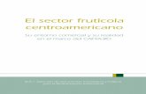 El sector frutícola centroamericanorepositorio.iica.int/bitstream/11324/7407/1/BVE19039692e.pdf · 2019-03-05 · nueces. Negoció un arancel final más bajo para uvas, manzanas