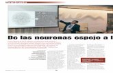 De las neuronas espejo a los simuladores de comprarecursos.anuncios.com/files/518/43.pdf · 2012-10-16 · 29 Anuncios 1435 / 15 al 21 Octubre 2012 De las neuronas espejo a los simuladores