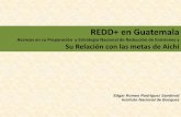 REDD+ en Guatemala...•Plataformas de apoyo específicas creadas para REDD+. •Guatemala comprometida con la Reducción de Emisiones •Invierte alrededor de $45 M (1.5% del presupuesto