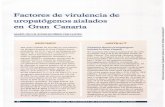 Factores de virulencia de uropatógenos aislados en Gran ... · We examined 282 strains isolated from the urine of patients with UTI at the Hospital Insular de Gran Canaria. The following
