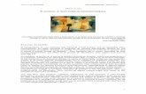 El correísmo: un nuevo modelo de dominación burguesaold.sinpermiso.info/articulos/ficheros/acos.pdf · 2015-09-17 · reconocido intelectual boliviano Luis Tapia (2011), quien escribiendo