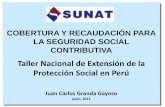 Taller Nacional de Extensión de la Protección Social en Perúwhite.lim.ilo.org/spanish/260ameri/oitreg/activid/... · Taller Nacional de Extensión de la ... A. MARCO INSTITUCIONAL