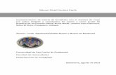 Mauner Sinael Ventura Cazún Implementación de huerto de ...biblioteca.usac.edu.gt/EPS/07/07_4518.pdf · Implementación de huerto de hortalizas con el sistema de riego por goteo