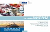 EL MERCADO PESQUERO DE LA UE...Alcance El objetivo de «El mercado pesquero de la UE» es proporcionar una descripción económica del sector europeo de la pesca y la acuicultura en