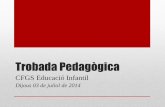 Trobada Pedagògica - UdGweb2.udg.edu/ice/doc/doc_fnu/fp/CFGS_Educacio_Infantil.pdfaproximadament durant tot un dia uns 680 infants. Al matí els Parvularis (P3, P4 i P5) i a la tarda