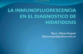 Bqca. Liliana Roquel lilianaroquel@yahoo.com · La inmunofluorescencia indirecta aplicada al diagnostico de la hidatidosis El Torax 20: 198-201, 1971 (5)Pyndiahy N y Col. J. Clin.