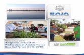 PROGRAMA ESTATAL DE PROTECCIÓN AL …...Actualización Programa Estatal de Protección al Ambiente de Baja California 2015-2019 La planeación del desarrollo estatal, es la base sobre