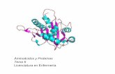 Aminoácidos y Proteínas Tema 6 Licenciatura en Enfermería · Aminoacidos. En función de la existencia o no de rutas biosinteticas disponibles los aminoácidos se clasifican en