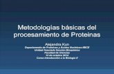 Metodologías básicas del procesamiento de Proteinasintrobiolii.fcien.edu.uy/Metodos de deteccion de...Metodologías básicas del procesamiento de Proteinas Alejandra Kun Departamento
