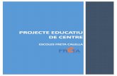 PROJECTE EDUCATIU DE CENTREProjecte Educatiu de Centre Pàgina 4/62 1. Presentació Escoles Freta es troba a la ciutat de Calella, dins la comarca del Maresme. El centre educatiu és