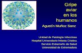 Gripe aviar en los humanos - Área Salud Badajoz · pudieron ser el reservorio natural del virus de la gripe aviar (P/H) 5. Hubo una concurrencia de varios elementos biológicos que