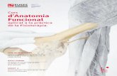 Curs d’Anatomia Funcional - Euseseuses.cat/wp-content/uploads/2018/11/Curs-anatomia-2019.pdfCurs d’Anatomia Funcional aplicat a la pràctica de la Fisioteràpia. DATA I HORARI