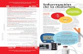 TENGA ESTO CON USTED O EN SU VEHÍCULO O TARJETA DE ...main.diabetes.org/dorg/PDFs/tarjeta-de-alerta.pdf · Mi proveedor de cuidados de salud: Teléfono: ( ) Tratamiento de emergencia
