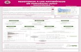 RESISTENCIA A LOS ANTIBIÓTICOS EN Helicobacter pylori147.96.70.122/Web/TFG/TFG/Poster/ANGELA HERRAEZ LOPEZ.pdf · ⁎ Es posible la aparición de resistencia a más de un antibiótico