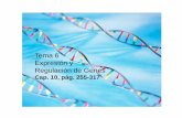 Tema 6 Expresión y Regulación de Genesacademic.uprm.edu/lrios/4368/Tema6.pdfDNA →RNA (transcripcion) síntesis de RNA (3 pasos) 1. iniciación 2. elongación 3. terminación. Síntesis
