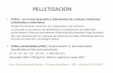 PELLETIZACION - REMBIOrembio.org.mx/wp-content/uploads/2015/01/Curso-BCS-3-Y-4.pdf · por rosca transportadora (como los de forrajes). Empacados. A) En costales o bolsas impermeables