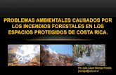PROBLEMAS AMBIENTALES CAUSADOS POR LOS INCENDIOS ...faces.unah.edu.hn/sibsig/images/2013/... · La situación ambiental y fragilidad de los ecosistemas Existen dos épocas bien definidas