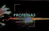PROTEÍNAS · se repiten en muchos tipos de proteínas y se consideran como ... porfirinas (anillo tetrapirrólico y un catión) como el grupo Hemo que contiene Fe2+ (ferroso) de