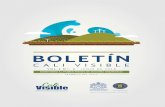 BOLETÍN - Javeriana Cali...Obseratorio Cali Visible 4 4 Durante los meses de enero a mayo de este año, la Asamblea del Valle del Cauca ha surtido tramite a ocho (8) proyectos de