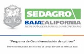 “Programa de Georeferenciación de cultivos” · Fuente: Secretaría de Desarrollo Agropecuario, Dirección de Planeación Sectorial y Seguimiento a la Inversión Pública, Oficina