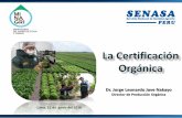 La Certificación Orgánica · servicios de calidad (objetividad, confiabilidad). Difundir las normas y sus procedimientos de actuación en materia fiscalización de la producción