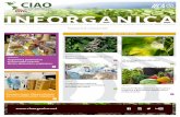 SECRETARIA EJECUTIVA DE LA CIAO INFORGANICAciaorganico.net/newsletters/890_inforganica_28.pdfel mercado interno de la producción local orgánica, la cual cuenta con gran reconocimiento