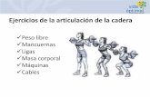 Ejercicios de la articulación de la cadera · Ejercicios para la flexión de cadera Se entrenan más con meta de estabilización espinal. Los flexores de cadera siempre están fuertes