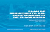 PLAN DE SEGUIMIENTO DEL PROCEDIMIENTO DE FLAGRANCIA · 2018-07-23 · En el marco de la Mesa de Trabajo de Coordinación Interinstitucional para la Implementación del Nuevo Procedimiento