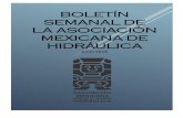 BOLETÍN SEMANAL DE LA ASOCIACIÓN MEXICANA DE … · Ing. José María Campos López - Segundo Vocal. XXXIII CONSEJO DIRECTIVO NACIONAL EVENTOS PROXIMOS PRECONGRESO SECCIÓN MORELOS