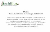 Misión Sociedad Chilena de Ficología, SOCHIFICOvinculacion.unab.cl/wp-content/uploads/2015/04/seminario-bulboa-ley-de... · Las especies sugeridas (Luga negra, Luga roja, Chicoria