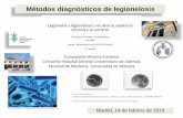 Métodos diagnósticos de legionelosis · En la Conferencia Anual del Grupo Europeo de Estudios en Infecciones por Legionella (ESGLI) en Lyon (Francia), en 2018 9.032 casos de Enfermedad