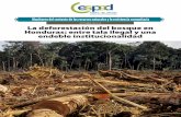 OCTUBRE 2015 (2) La deforestación del bosque en Honduras ...cespad.org.hn/wp-content/uploads/2017/06/Monitoreo-RRNN-oct-2.pdf · La deforestación del bosque en Honduras: entre tala