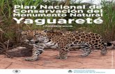sib.gob.ar · P.N. Parque Nacional PNCMNY Plan Nacional de Conservación del Monumento Natural Yaguareté SAREM Sociedad Argentina para el Estudio de los Mamíferos SAyDS Secretaría